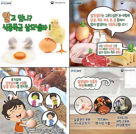 살모넬라 식중독 예방법