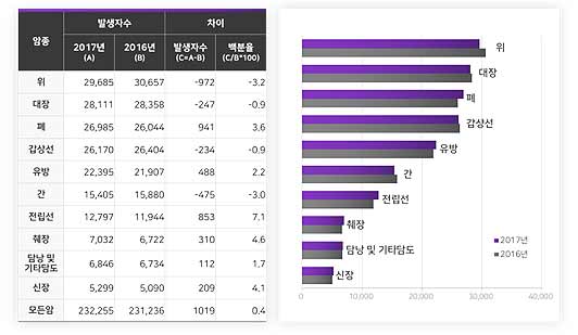 2017년 주요 암종 발생자수