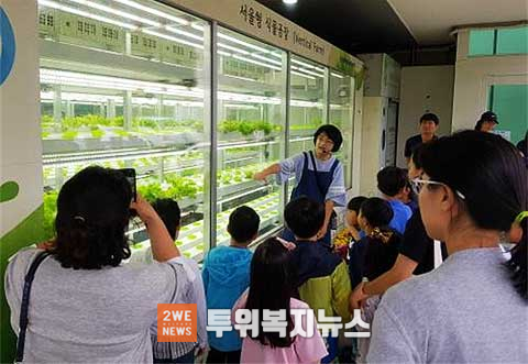 토요나들이 사진 