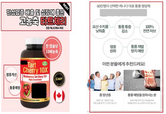 부당한 광고 사례 질병치료효능효과 표방 