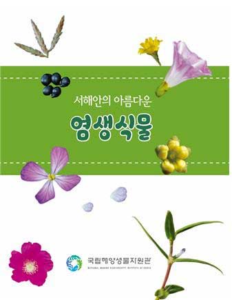 서해안의 아름다운 염생식물 표지