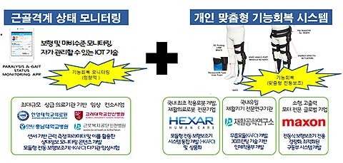 마비장애인의 개인맞춤형 기능회복 시스템 개발 및 제품화연구 개요도