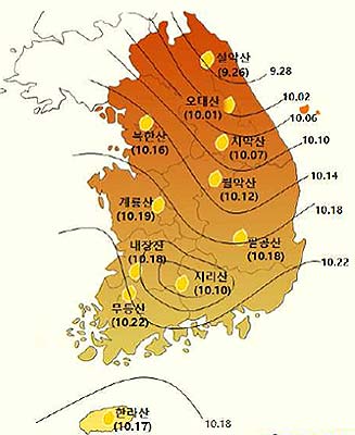 2020년 첫 단풍 예상 시기