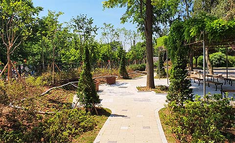 계양초등학교 명상숲