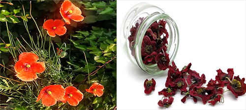 부적합 제품 정보