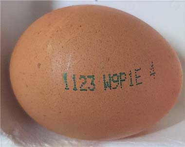 생산농가소재지  삼은축산경남 고성군고유번호난각코드  W9P1E