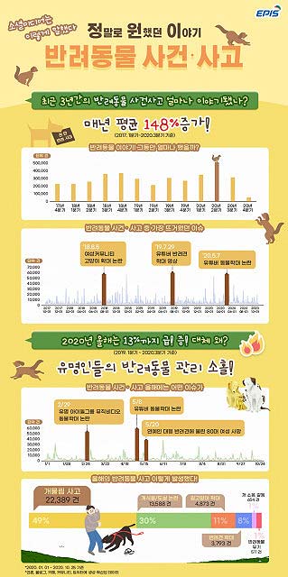 최근 3년간의 반려동물 사건사고와 2020년 급증 이슈