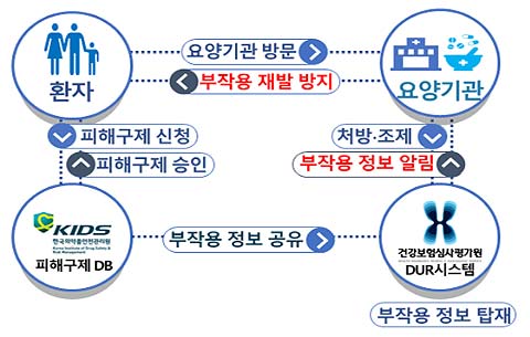 의약품 부작용 피해구제 DUR 정보제공 흐름도