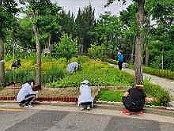 나무돌보미Adopt a Tree 활동사진