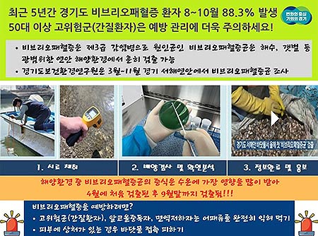 비브리오패혈증균 감시사업 그래픽자료
