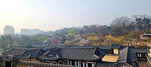  낙선재 권역 봄 풍경2021년 