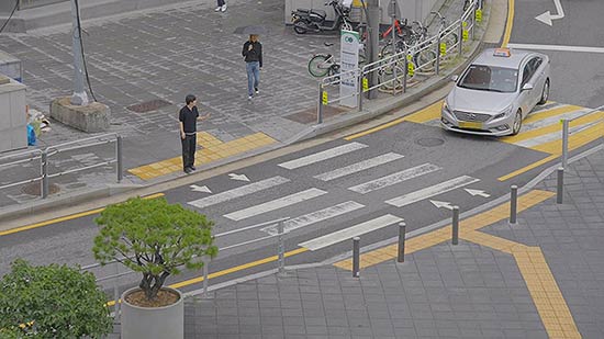 사진1 보행자 손짓했을 때 일시정지하는 차량