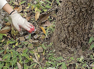 징매이고개 생태통로 살포 사진