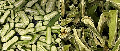 도두콩 꼬투리 생물 건조물