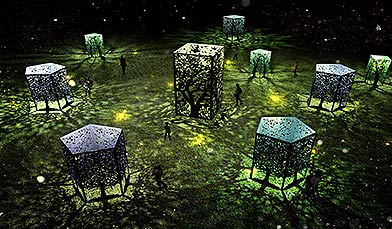 송현동 솔빛축제 전시사진안 그림자 숲