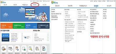 이민 행정 빅데이터 분석시각화 자료 설명