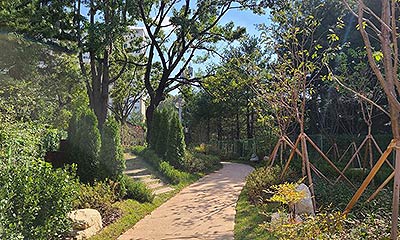 사진자료도시숲부천시 학교숲 조성사례