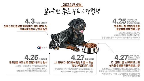 4월 시행법령 한 컷 이미지