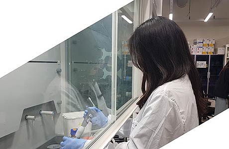 검사 실험 사진