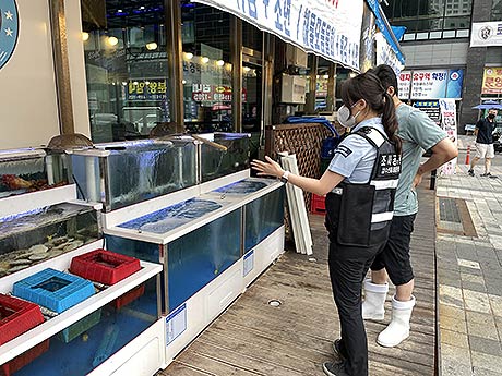 수산물 원산지 표시 점검단속 사진2