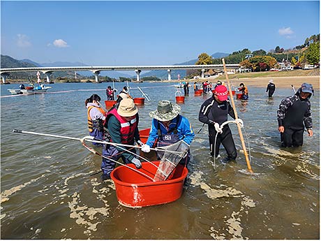 하동 섬진강 재첩잡이 손틀어업