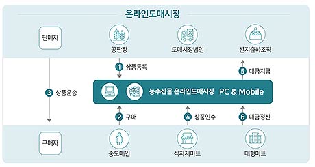  자료출처  농수산물 온라인도매시장kafb2borkr