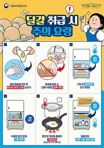 달걀취급시주의요령