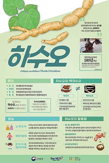 참고자료17월이달의임산물하수오활용법추가