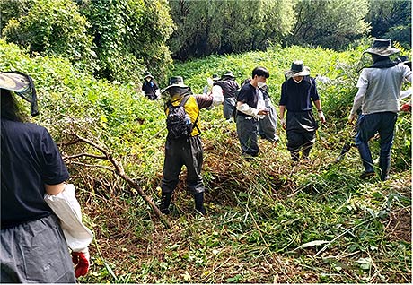 단체 참여자들과 함께 한강 정화 활동을 하는 모습