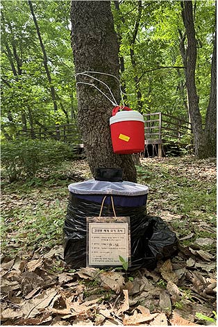 숲모기 채집장비 설치 사진 