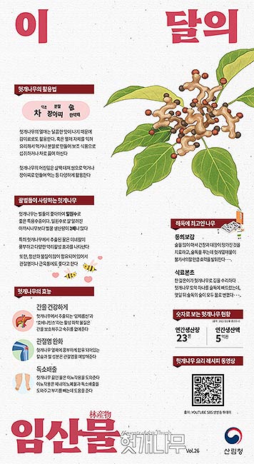 8월 이 달의 임산물헛개나무