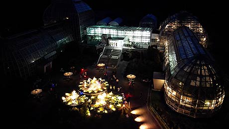 사진자료국립수목원달빛아래화려한초대광릉숲썸머블룸개최