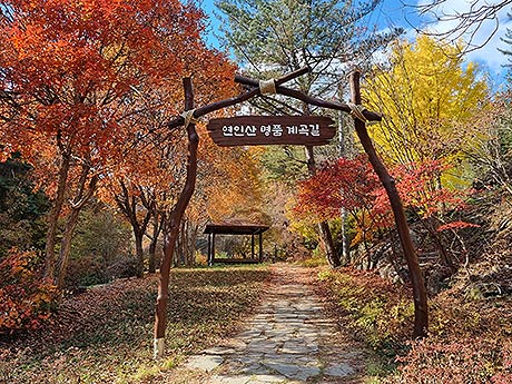 경기도 가평 연인산 명품 계곡길