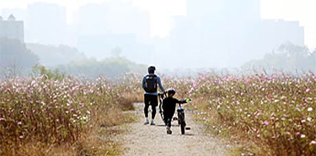 대상  박정식 가을의 향기 속으로 아들과 함께 떠나는 힐링 여행  경기 용인 기흥호수공원