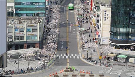 연세로 차없는 거리안