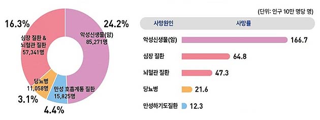 만성질환으로 인한 사망률