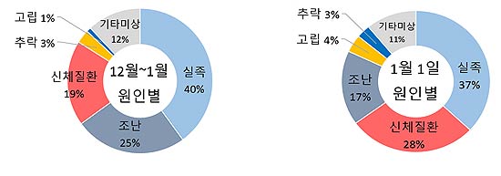 연말연시 기간에 따른 원인별 등산사고 비교