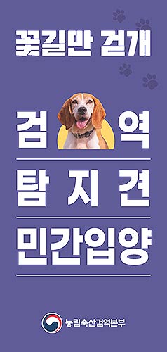 민간입양 리플릿