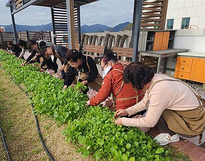 참고자료치유농업서비스 사진