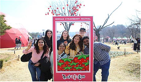 충남 논산 딸기축제25327330