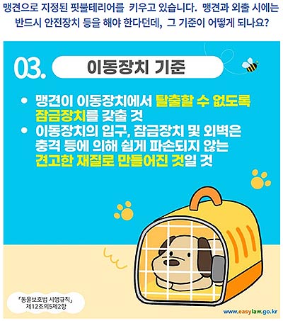 카드뉴스형맹견