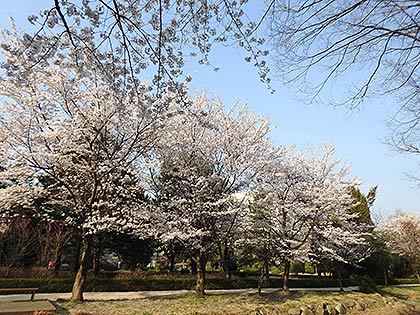 물향기수목원 전시원 전경