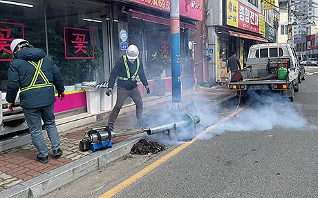 일본뇌염 방역소독