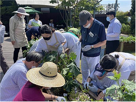 의료기관에서 치유농업 프로그램에 참여 중인 환자들