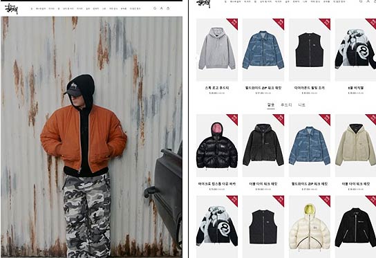 예시 스투시STUSSY 사칭사이트