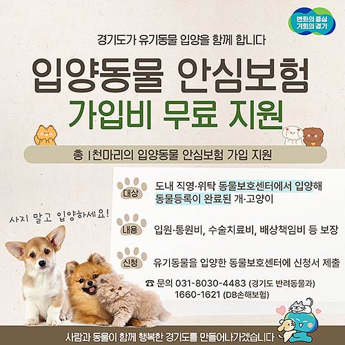카드뉴스2025 입양동물 안심보험