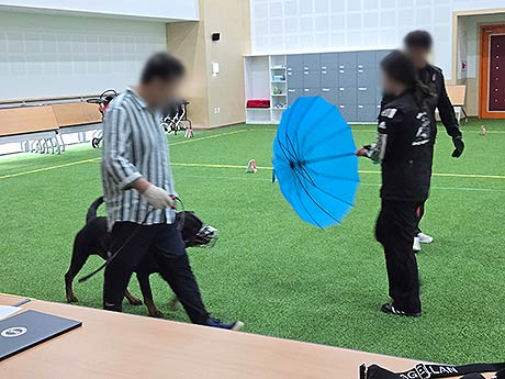 맹견 사육허가제도 기질평가