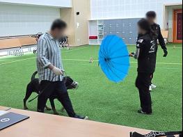 경기도, “맹견 보호자는 맹견사육허가 꼭 받으세요” 기사 이미지