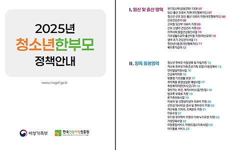 2025년 청소년한부모 정책 안내