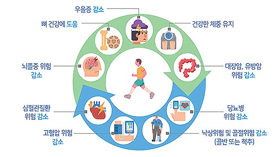 규칙적인 신체활동의 이득 국가건강정보포털